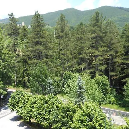 Pineta 3*