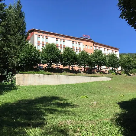 Pineta