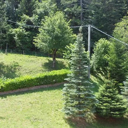 Pineta