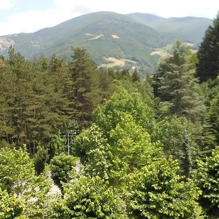 Hotel Pineta Pievepelago