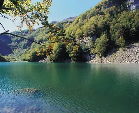 Ξενοδοχείο Pineta 3*