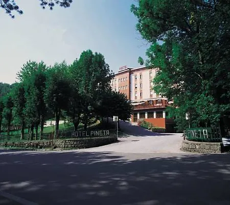Hotel Pineta 3*